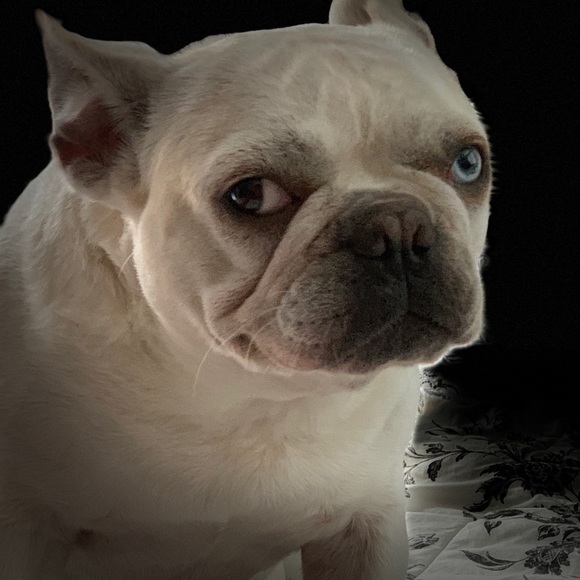 Meet your Posher, Tammy - Picture 6 of 8